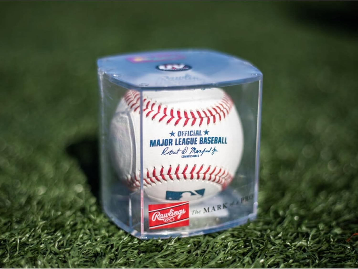 Rawlings | Official 2025 Major League Baseball