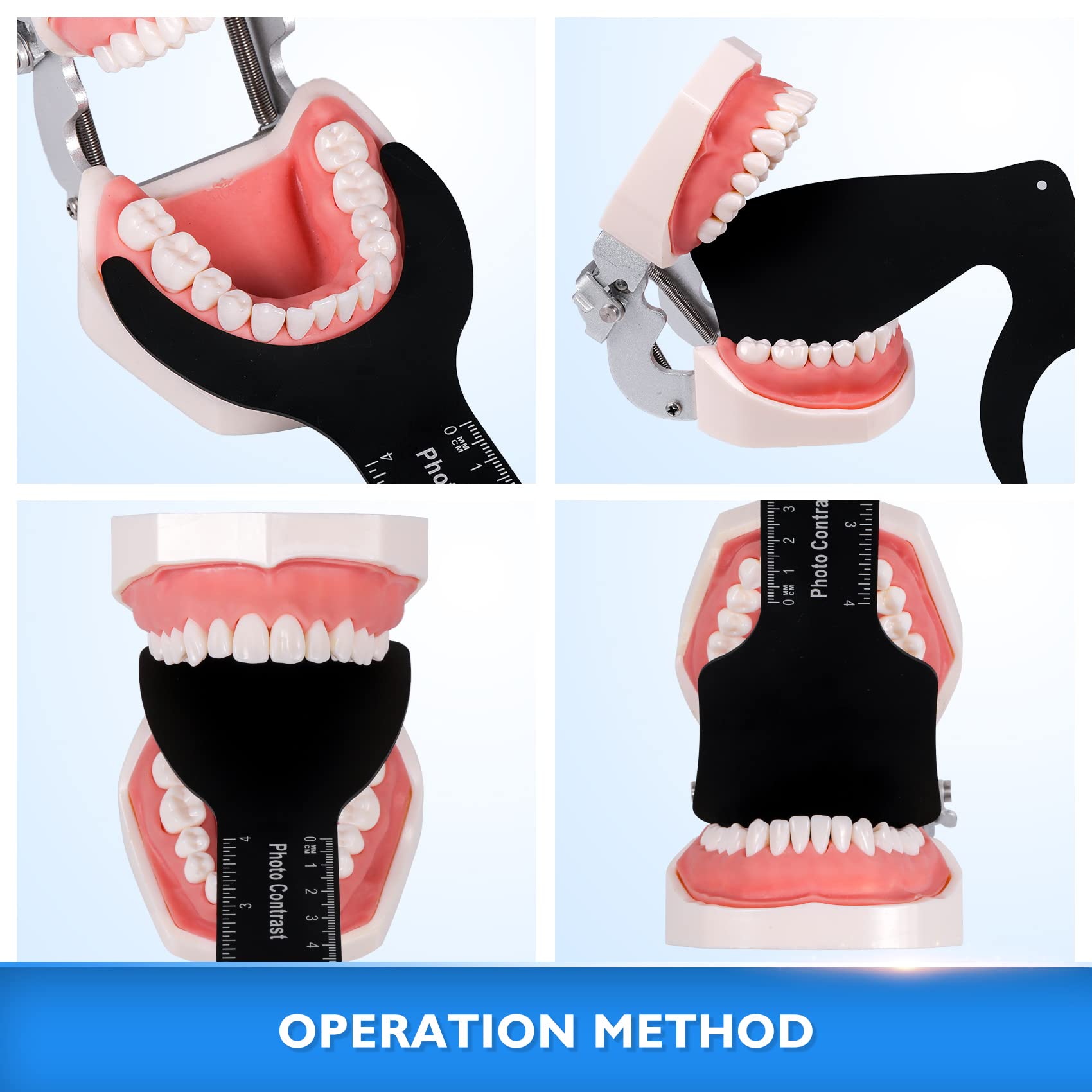 6 Sizes Dental Oral