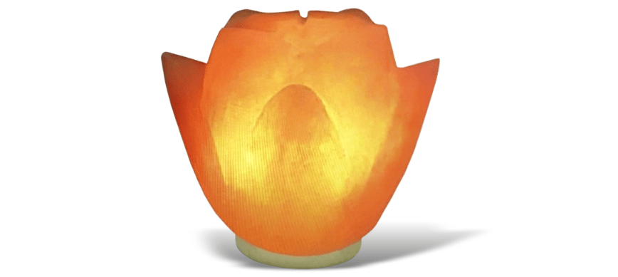 Himalayan Leaf Shape Salt Lamp