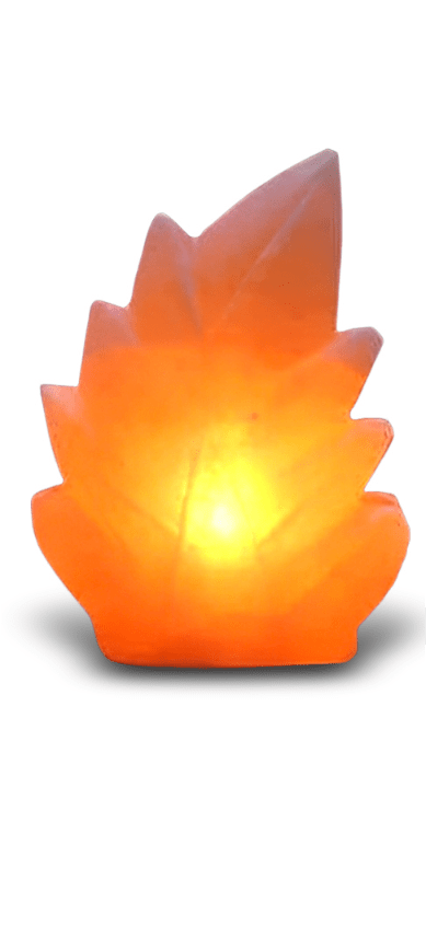 Himalayan Leaf Shape Salt Lamp